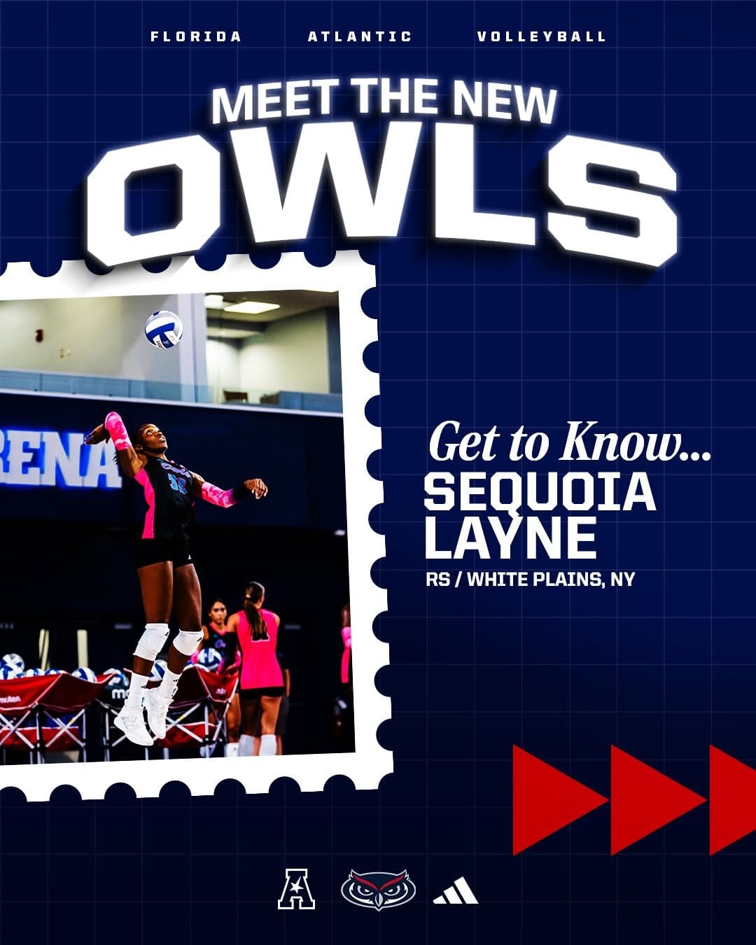 Post 7 by Florida Atlantic Volleyball on Instagram (carousel)
