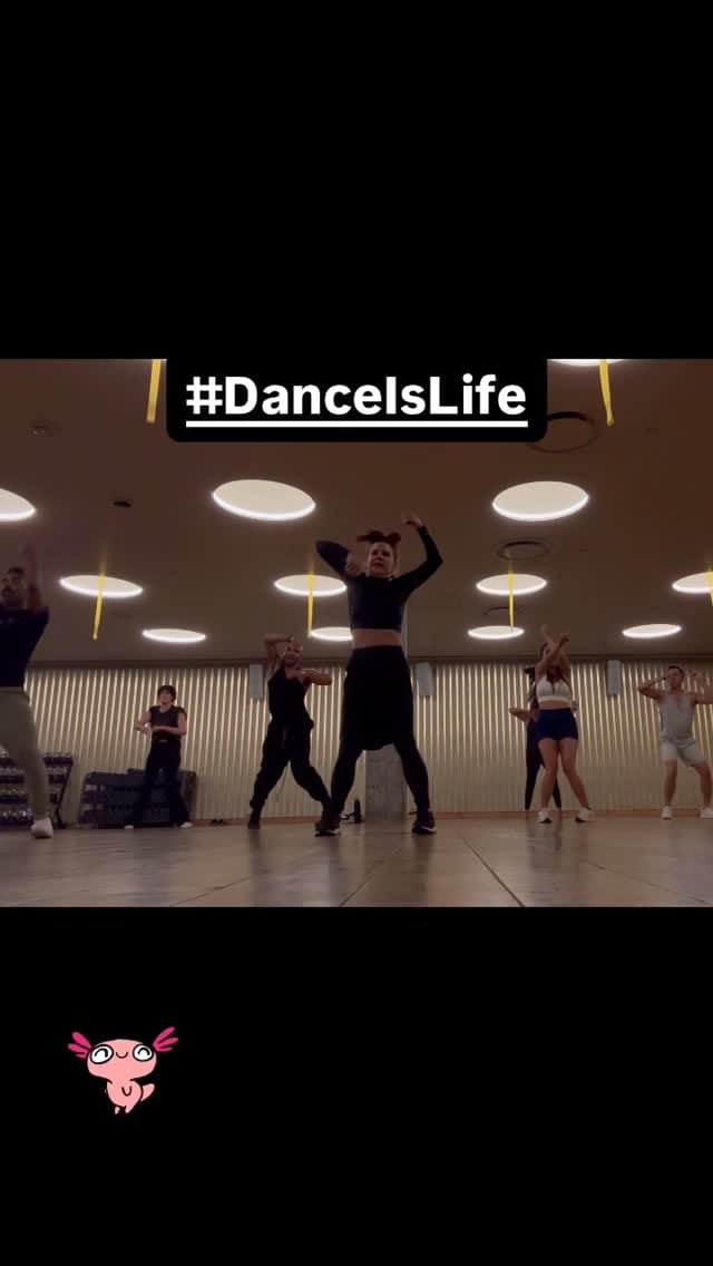 Post 7 by Shea Curry on Instagram (video)