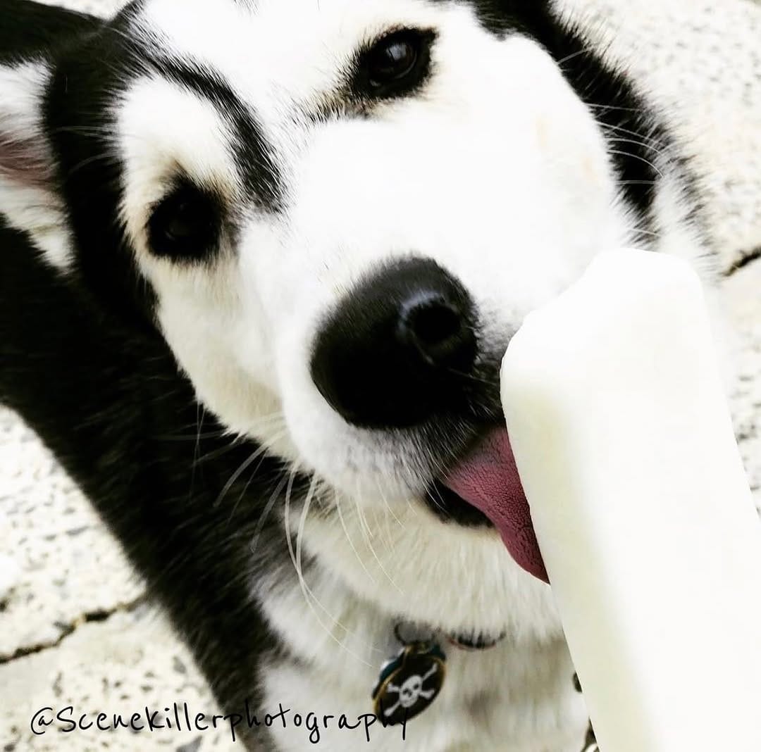 Post 8 by Life as Mace on Instagram (image)