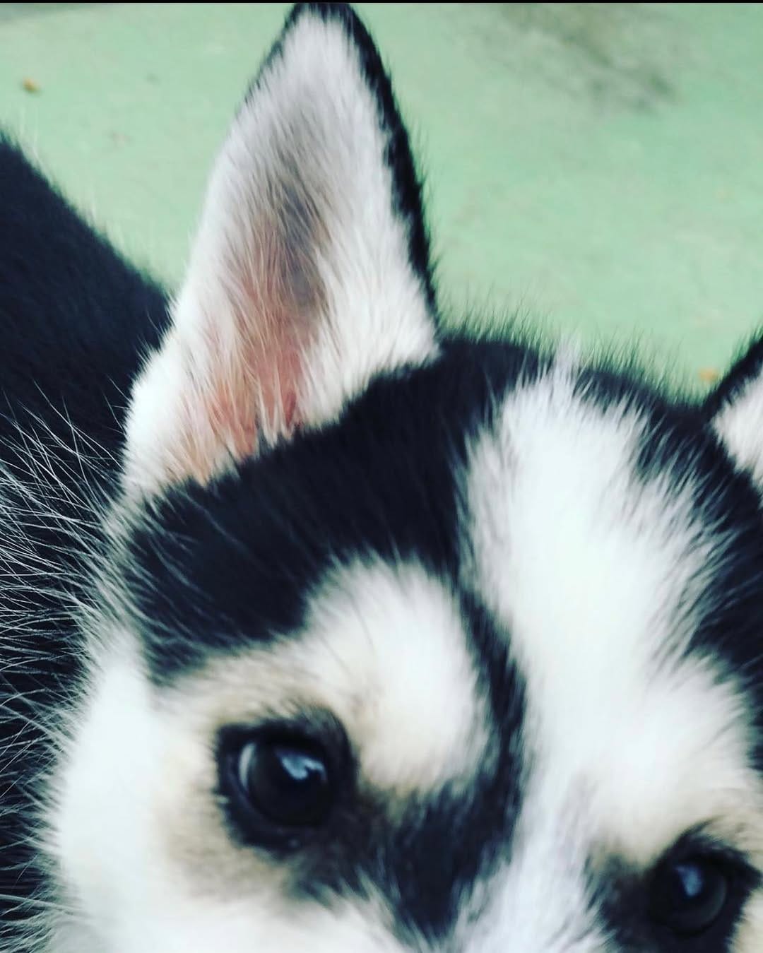 Post 2 by Life as Mace on Instagram (image)