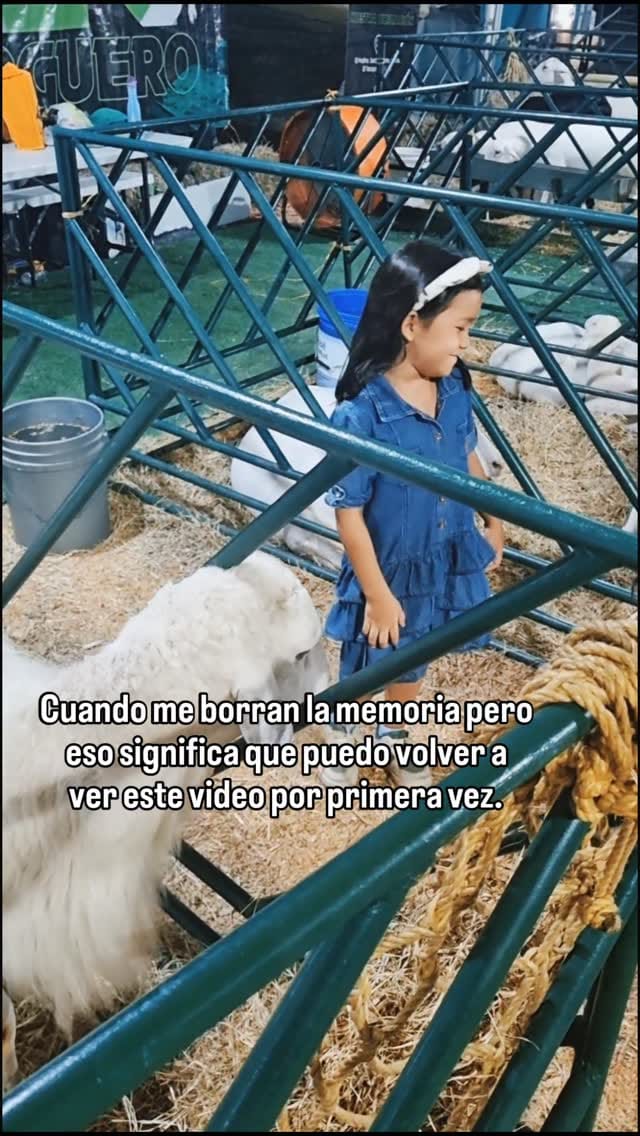 Post 5 by Zoe Victoria | Creadora de contenido on Instagram (video)