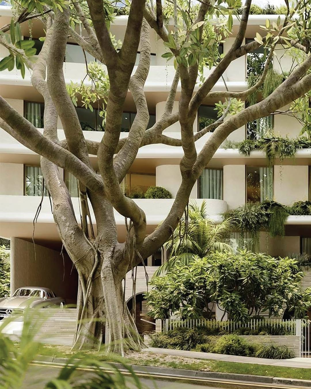 Post 10 by CDArchitects on Instagram (image)