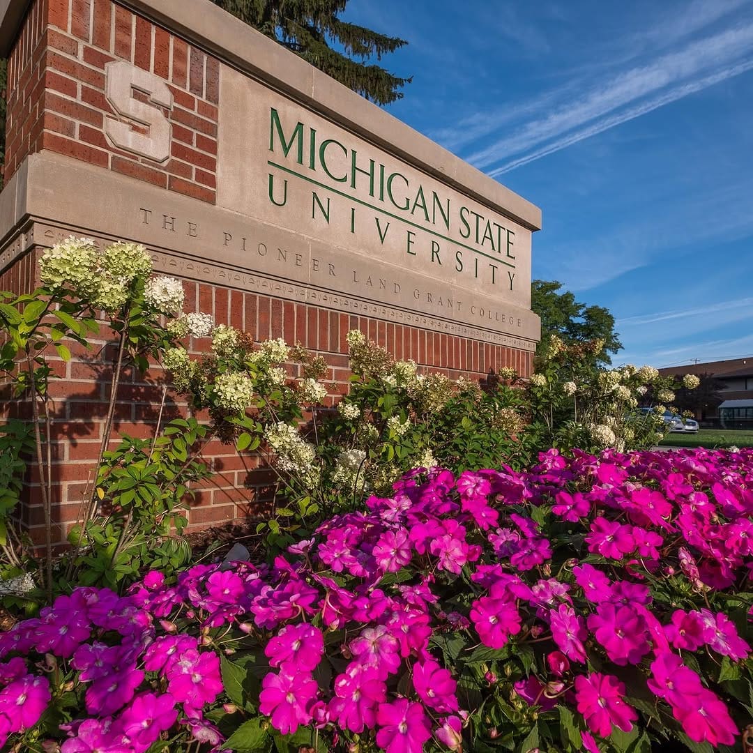 Post 3 by MSU Admissions on Instagram (image)