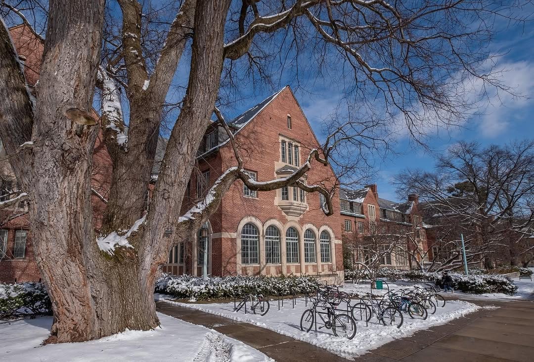 Post 10 by MSU Admissions on Instagram (image)