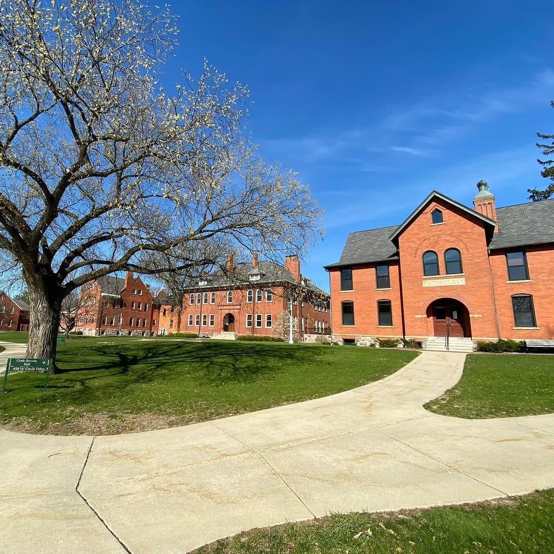Post 7 by MSU Admissions on Instagram (image)