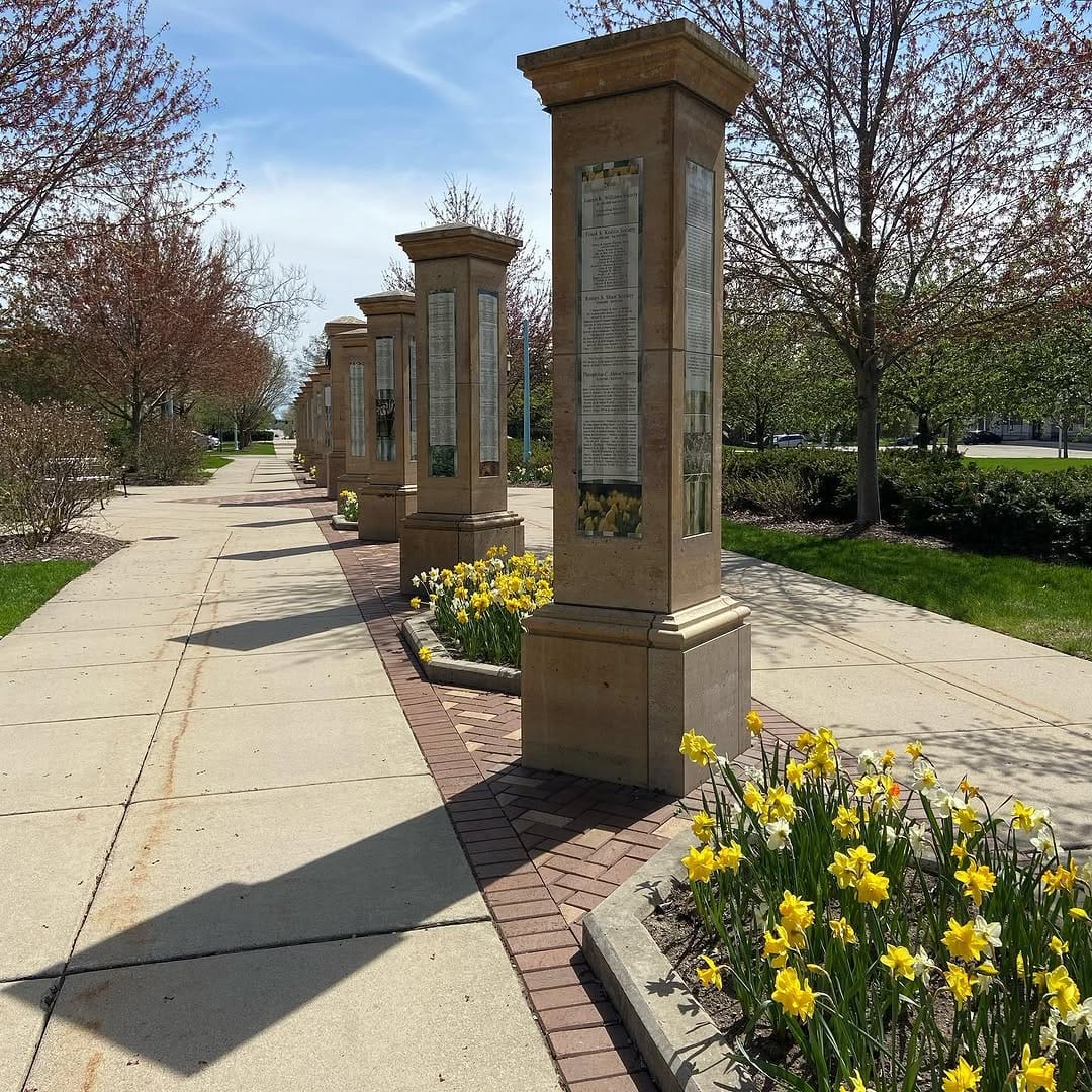 Post 5 by MSU Admissions on Instagram (image)