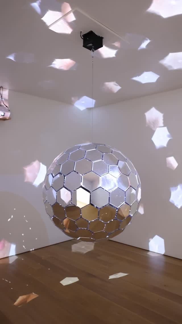 Post 5 by Weitzman School on Instagram (video)