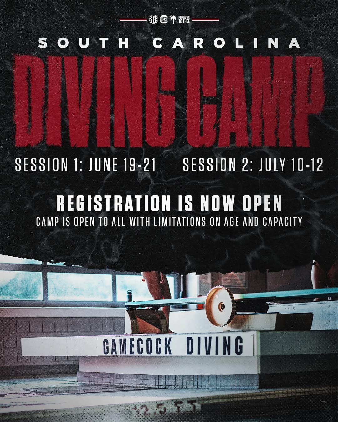 Post 3 by South Carolina Swimming & Diving on Instagram (image)