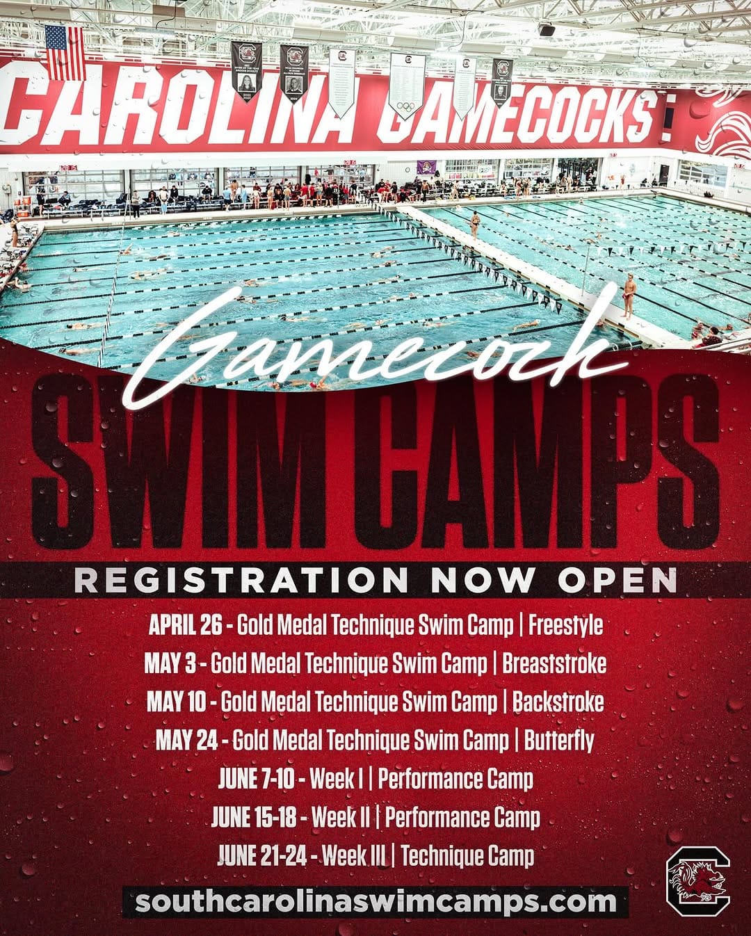 Post 10 by South Carolina Swimming & Diving on Instagram (image)