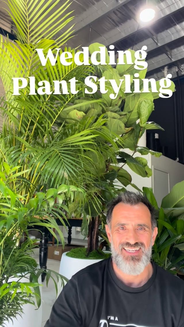Post 3 by Plant Addicts Anonymous on Instagram (video)