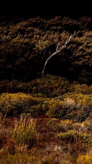 Post 9 by Ode Studio on Instagram (video)