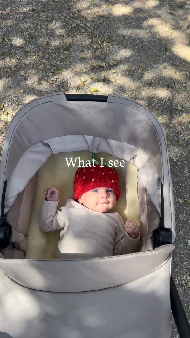 Post 7 by Taylor Kitto on Instagram (video)