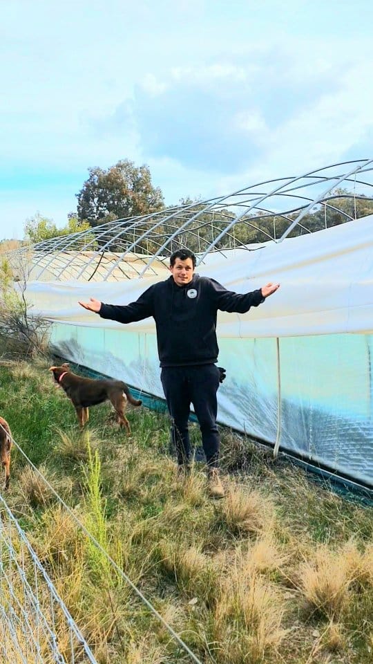 Post 6 by MICK | HORTICULTURALIST | SUCCULENT SPECIALIST 🌵 on Instagram (video)