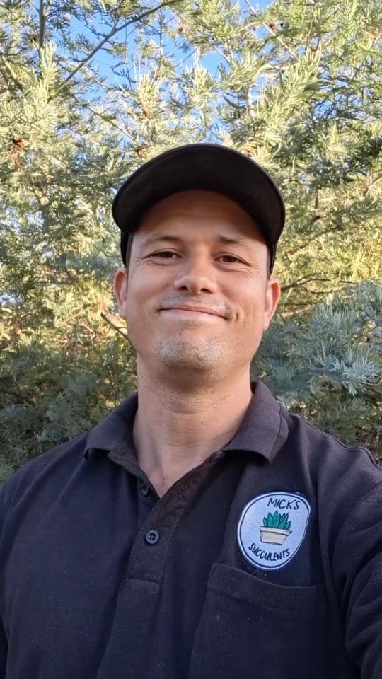 Post 3 by MICK | HORTICULTURALIST | SUCCULENT SPECIALIST 🌵 on Instagram (video)