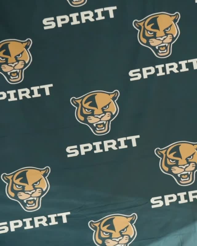 Post 3 by FIU Dazzlers on Instagram (video)