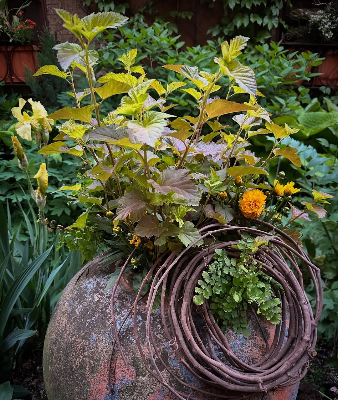 Post 7 by Howard Nemeroff (Owner) on Instagram (image)