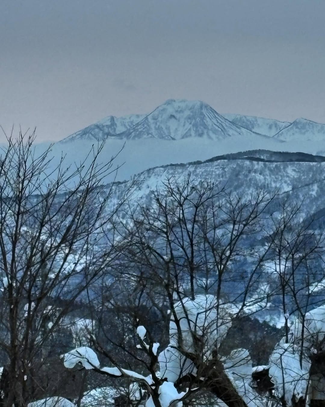 Post 7 by Polly Harbison on Instagram (image)