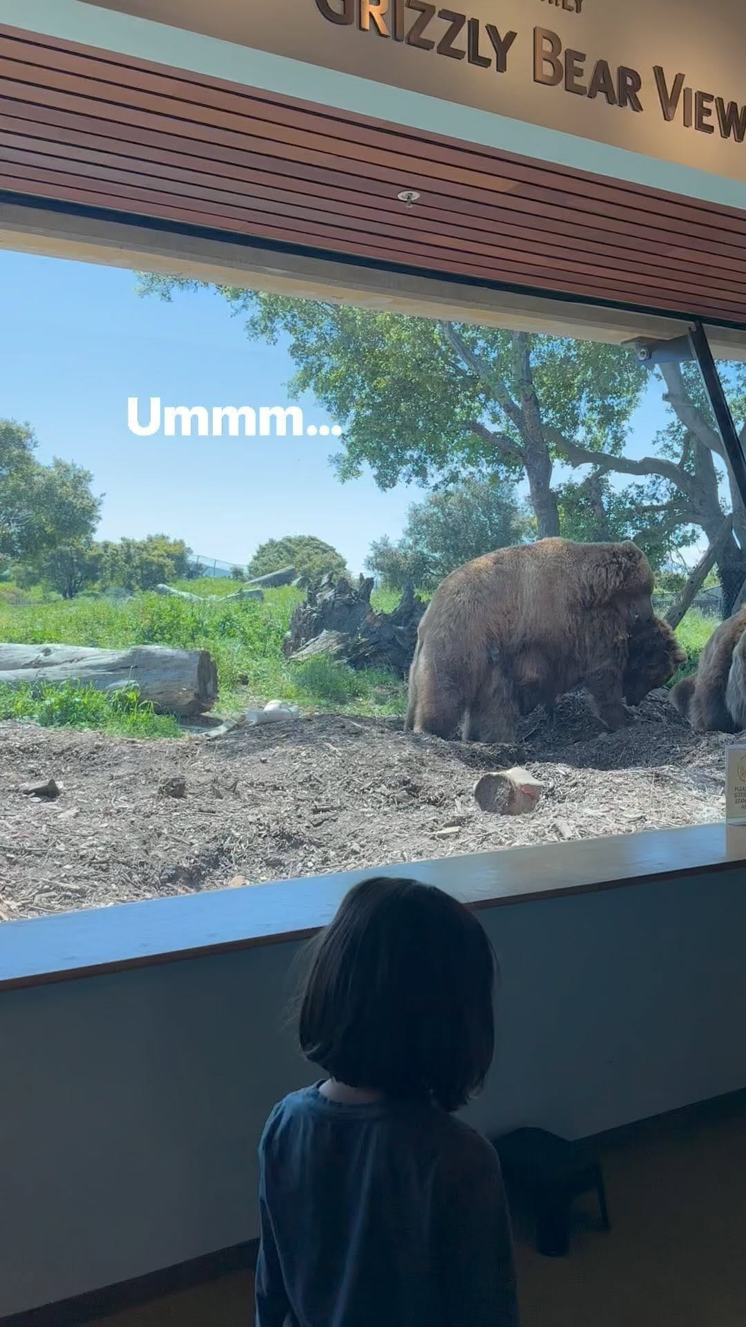 Post 5 by Shart Factory on Instagram (video)