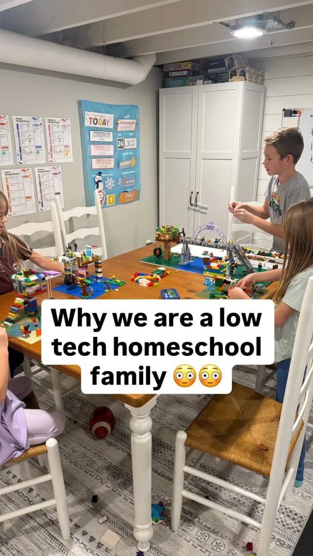 Post 3 by Kaitlyn Hockett | The Hockett Home on Instagram (video)