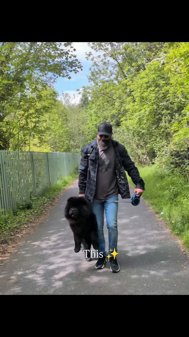 Post 3 by Beau & Bear 🧸🖤 on Instagram (video)