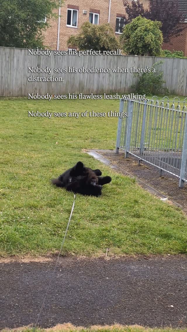 Post 2 by Beau & Bear 🧸🖤 on Instagram (video)