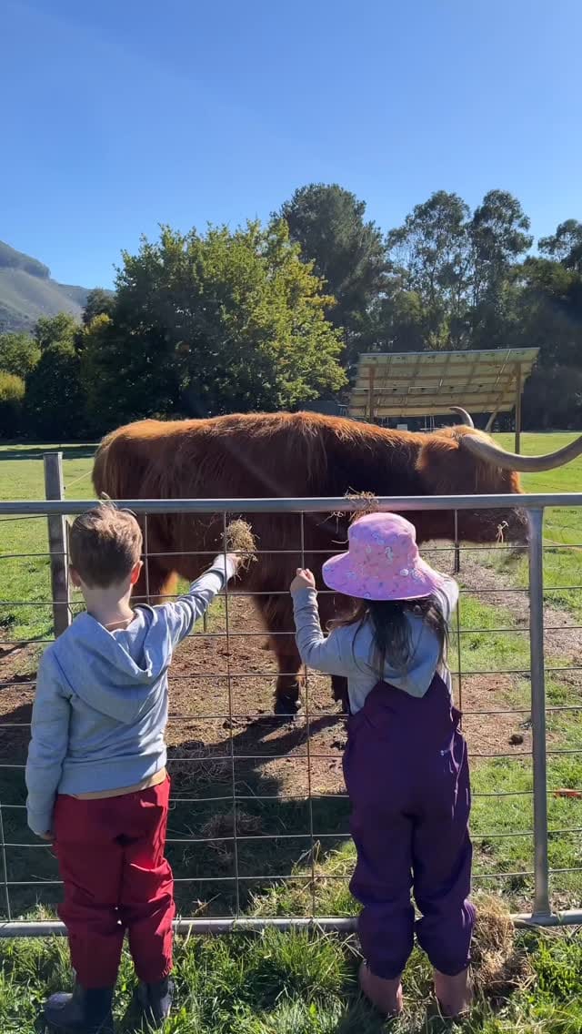 Post 3 by Minimuds | Connecting Kids to Nature 🌿 on Instagram (video)