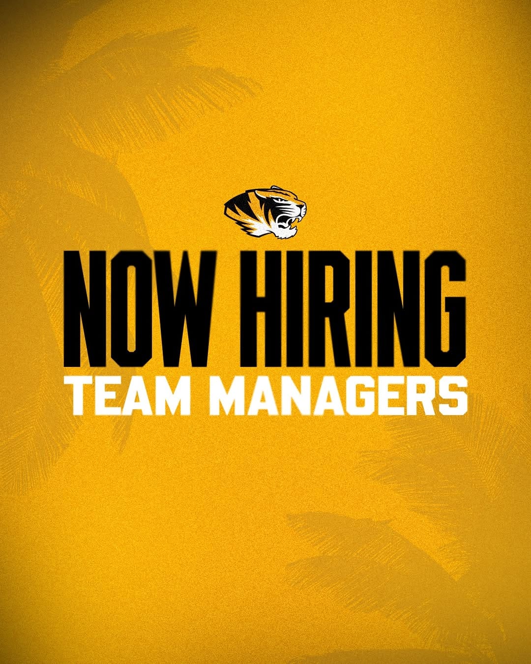 Post 3 by Mizzou Club Hockey on Instagram (image)