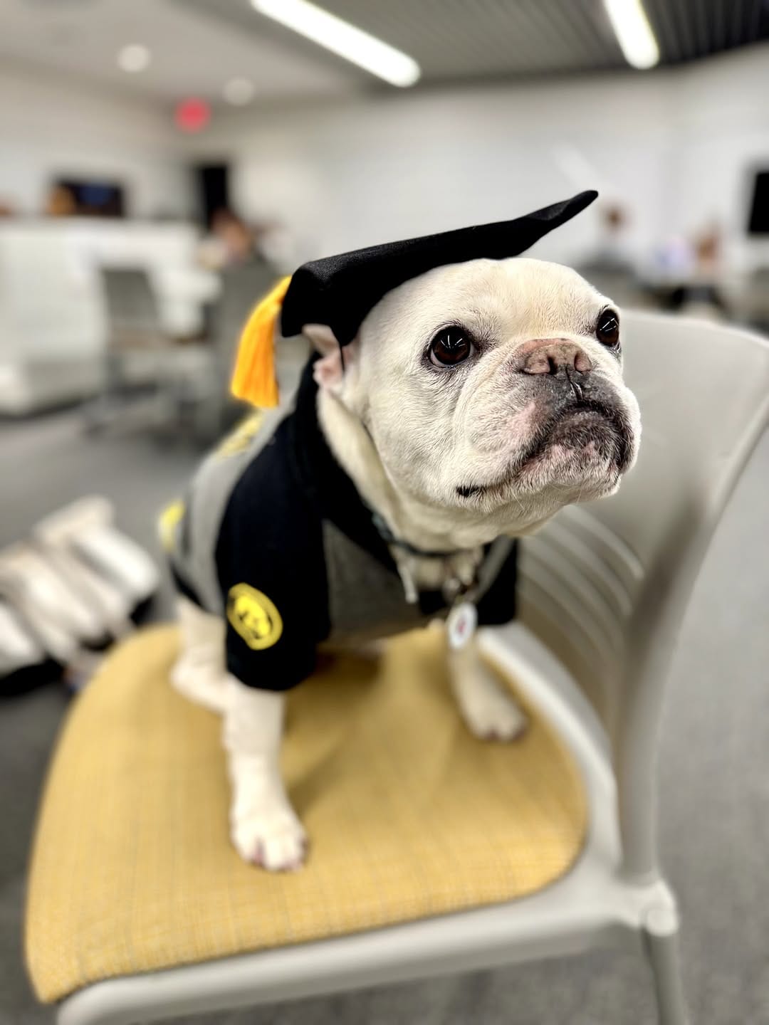 Post 8 by UIowa College of Nursing on Instagram (image)