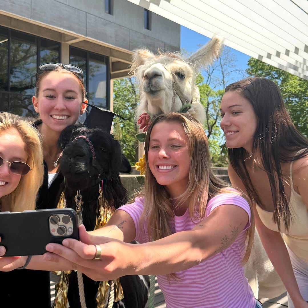 Post 7 by UIowa College of Nursing on Instagram (carousel)