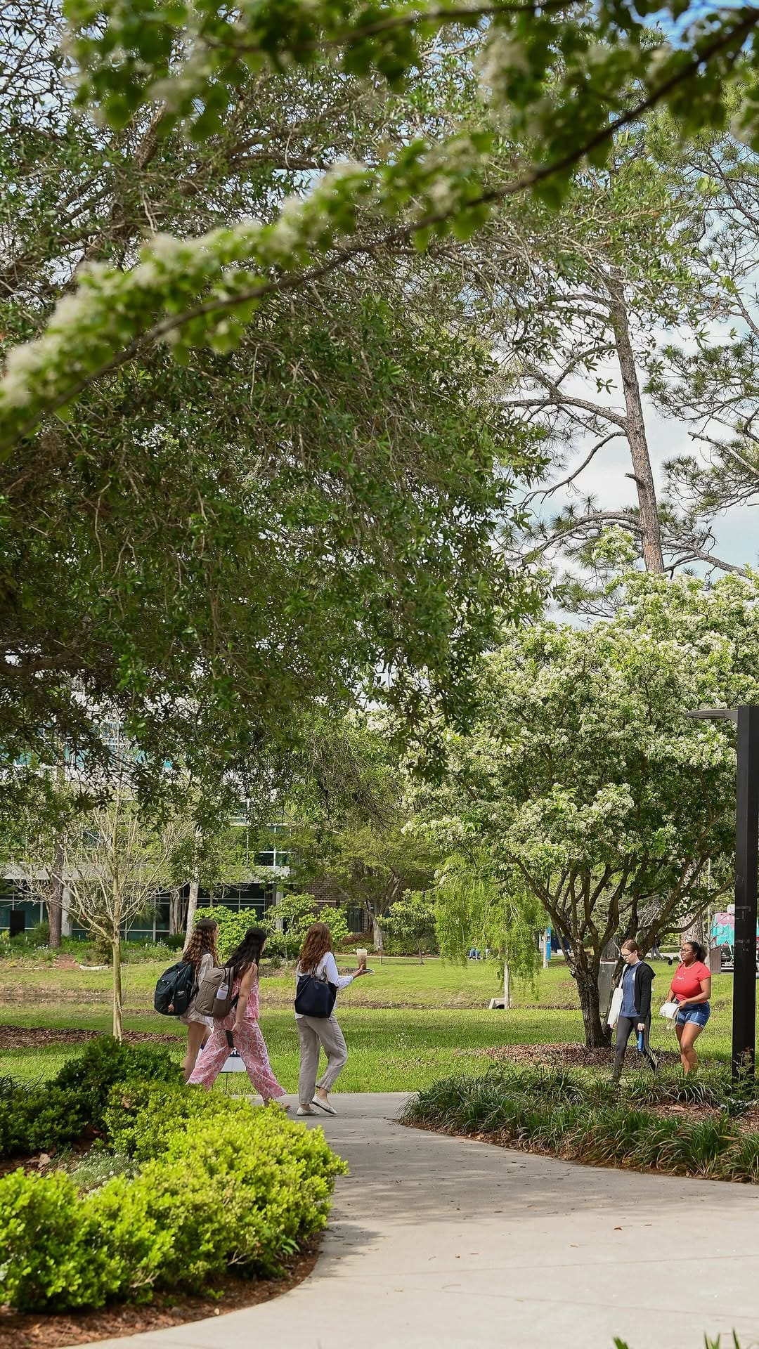 Post 8 by UNF Admissions on Instagram (video)