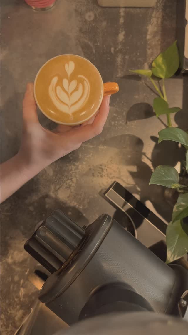 Post 7 by Phoenix Coffee Shop Infusion Coffee & Tea on Instagram (video)