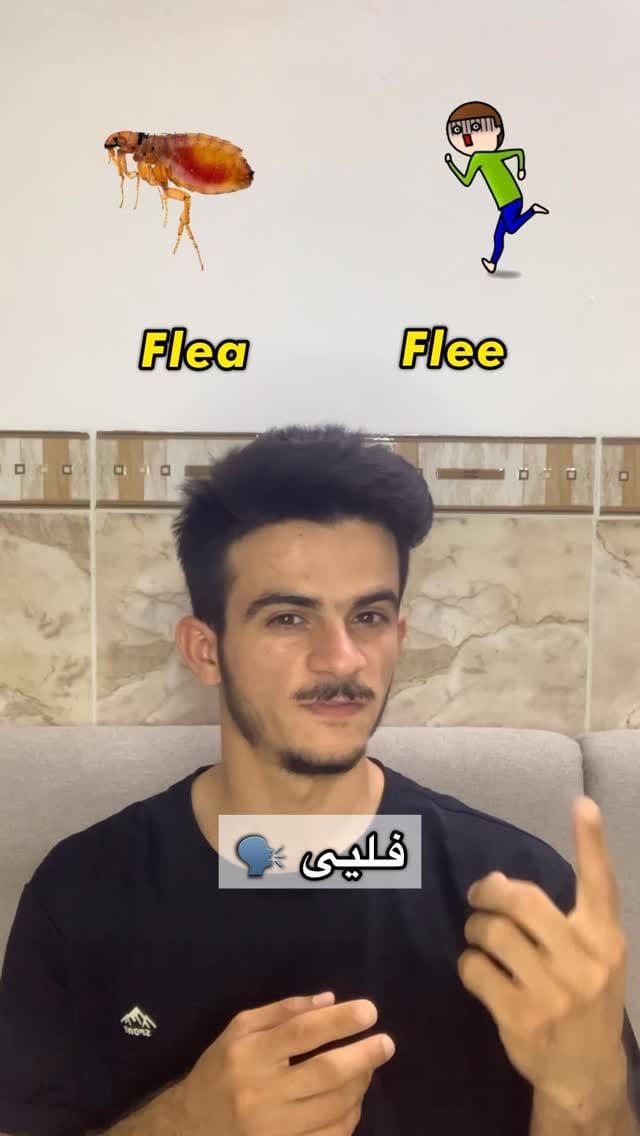Post 6 by Learn English With Othman. on Instagram (video)