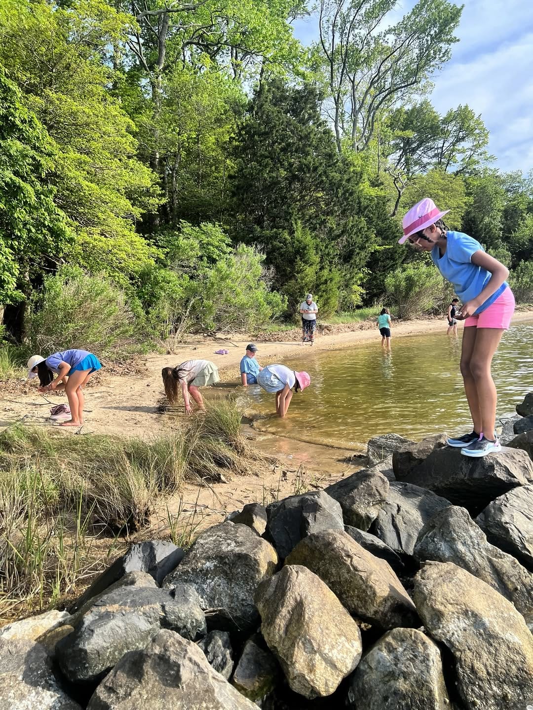 Post 3 by Waldorf School of Baltimore on Instagram (image)