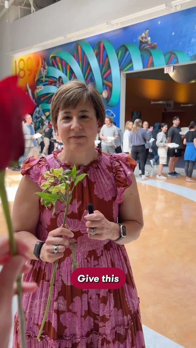 Post 6 by PCOM Georgia on Instagram (video)