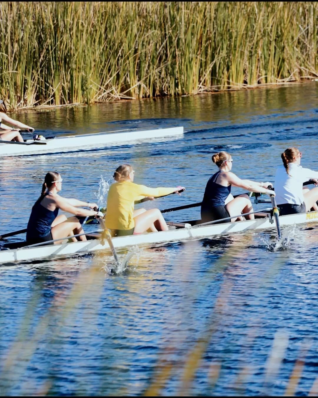 Post 9 by Michigan Women's Rowing on Instagram (video)