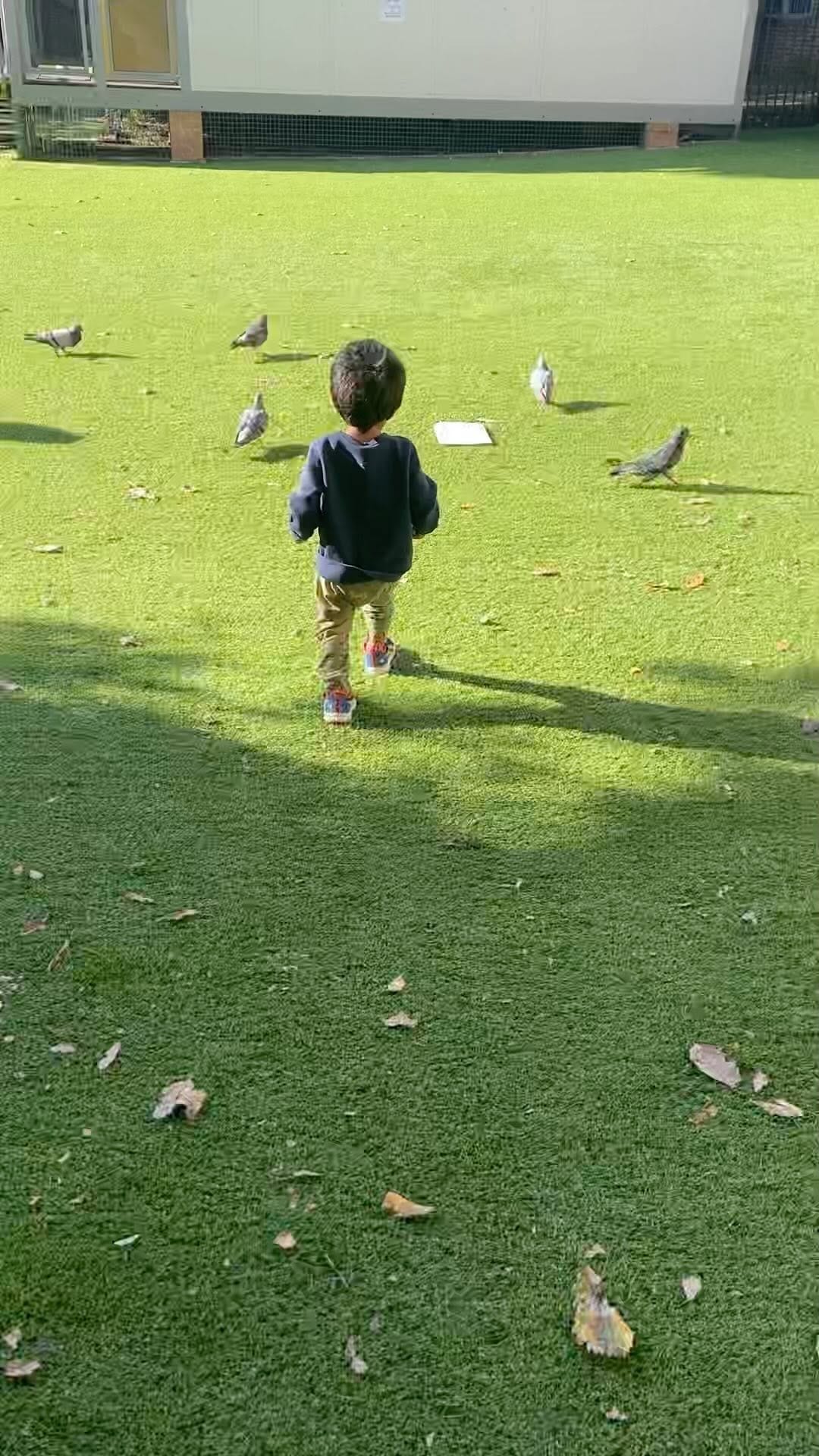 Post 7 by HimaArafath on Instagram (video)