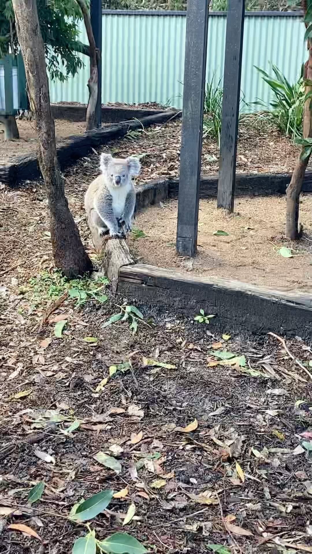 Post 6 by HimaArafath on Instagram (video)