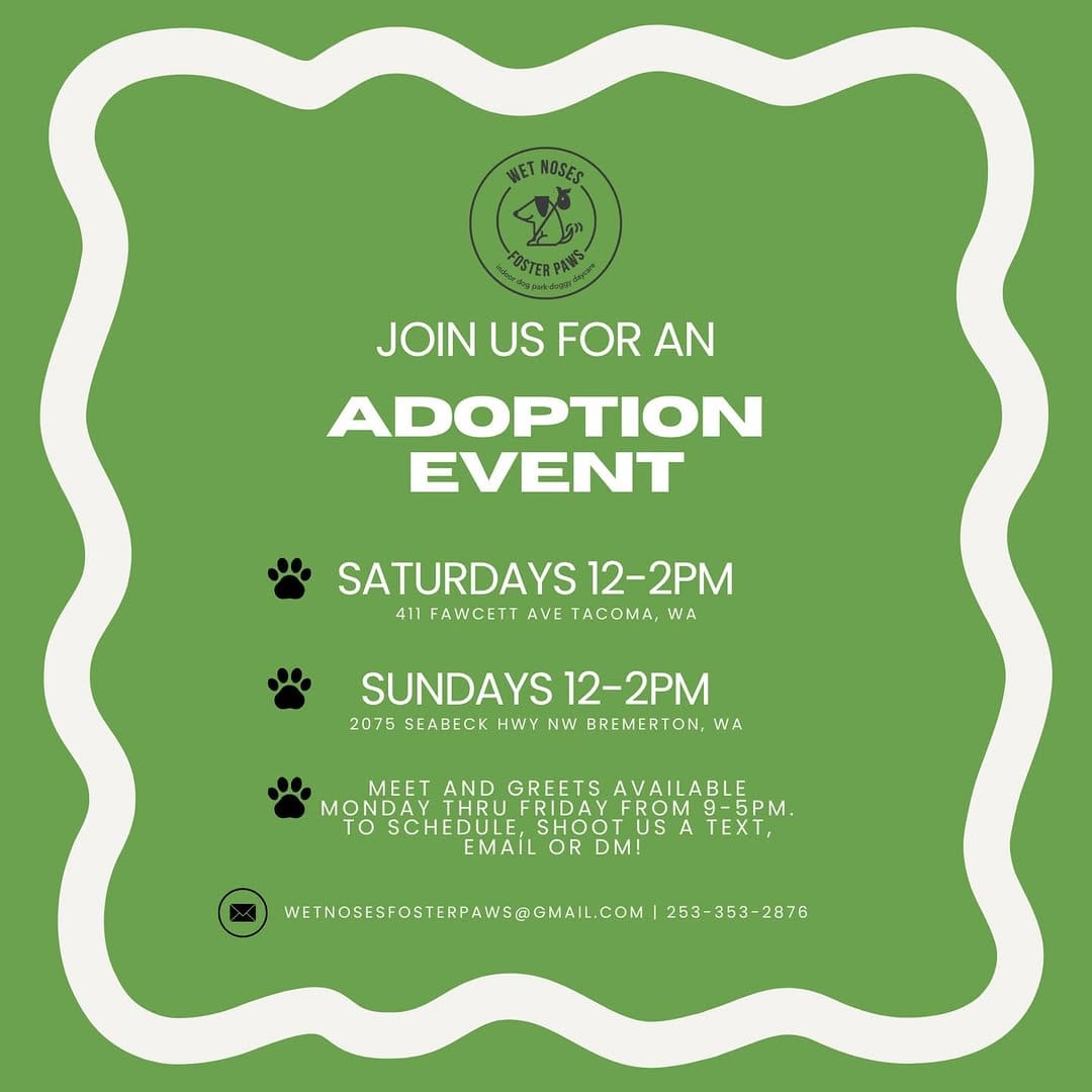 Post 10 by Wet Noses Foster Paws on Instagram (image)