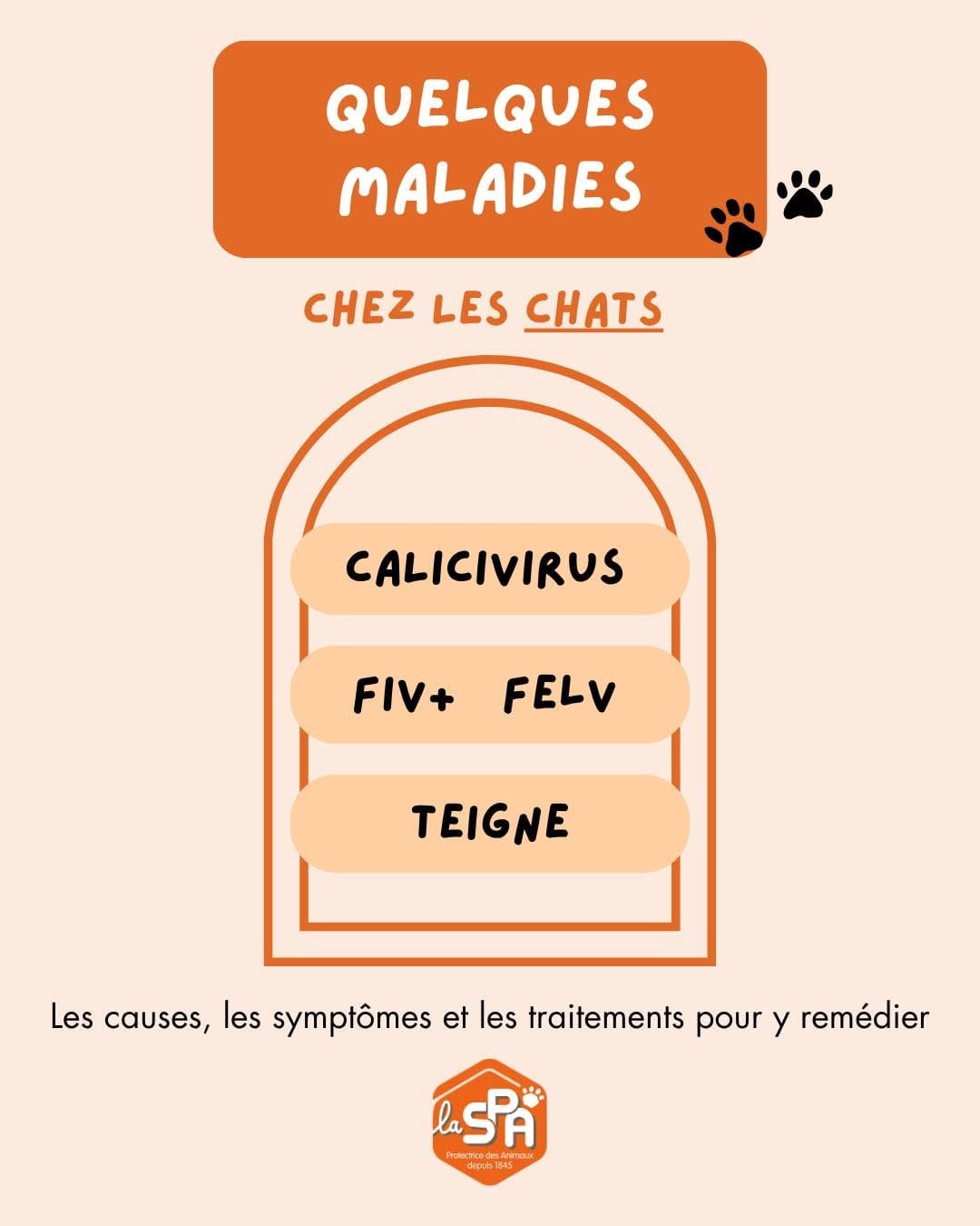 Post 4 by Maison SPA de Bordeaux on Instagram (carousel)