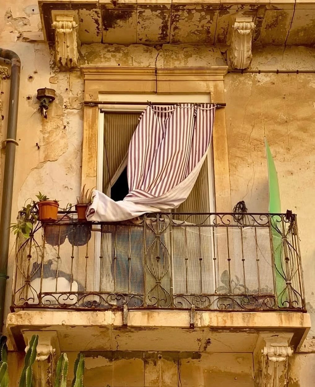 Post 9 by PHOTOGROUP SIRACUSA on Instagram (image)