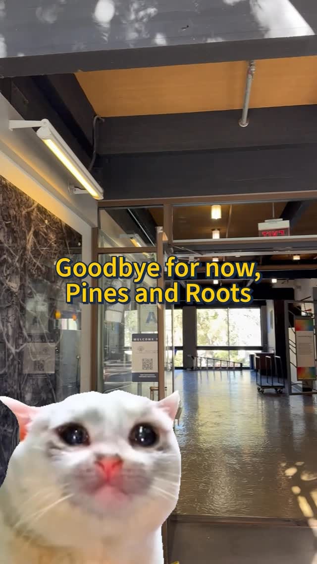 Post 10 by UCSD Housing Dining Hospitality (HDH) on Instagram (video)