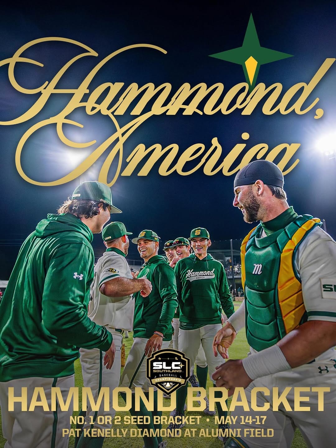 Post 10 by Southeastern Lions Baseball on Instagram (image)
