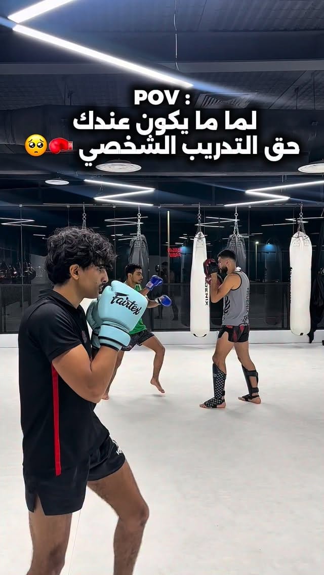 Post 6 by Phoenix / فينكس on Instagram (video)
