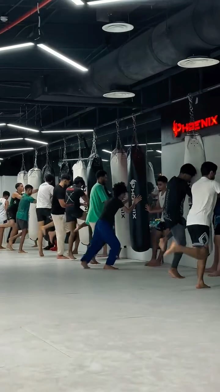 Post 2 by Phoenix / فينكس on Instagram (video)