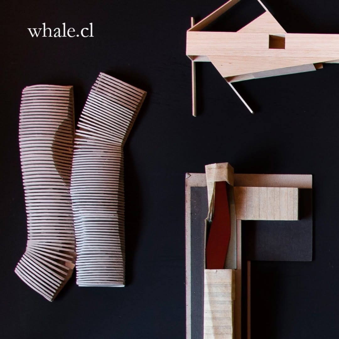 Post 8 by Whale! on Instagram (image)