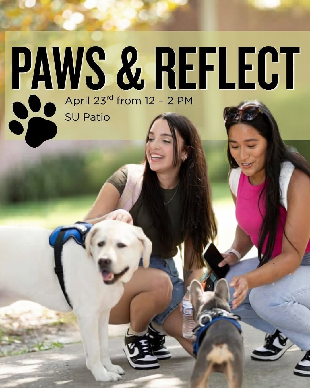 Post 8 by UCF Student Government on Instagram (image)