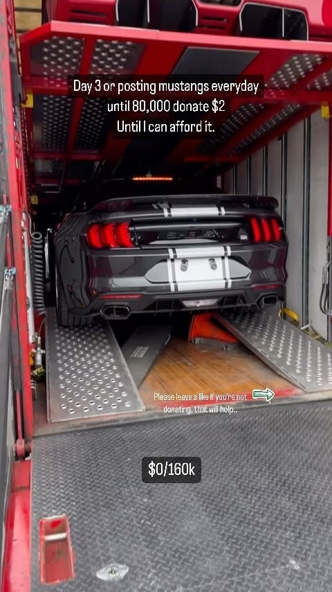 Post 5 by S650 Super Snake🐍 on Instagram (video)
