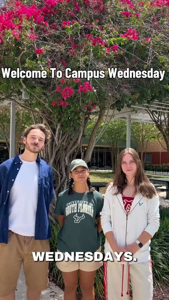 Post 3 by USF New Student & Family Engagement on Instagram (video)