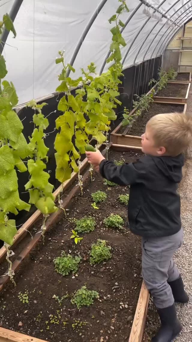 Post 10 by Alpine Village School on Instagram (video)
