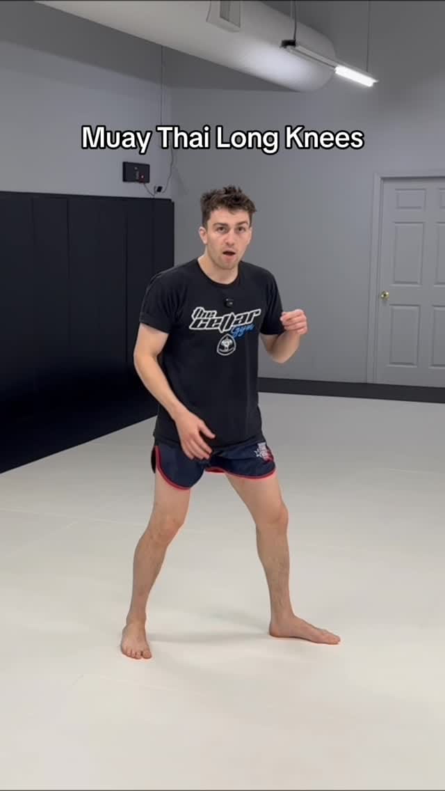 Post 5 by The Cellar Gym on Instagram (video)